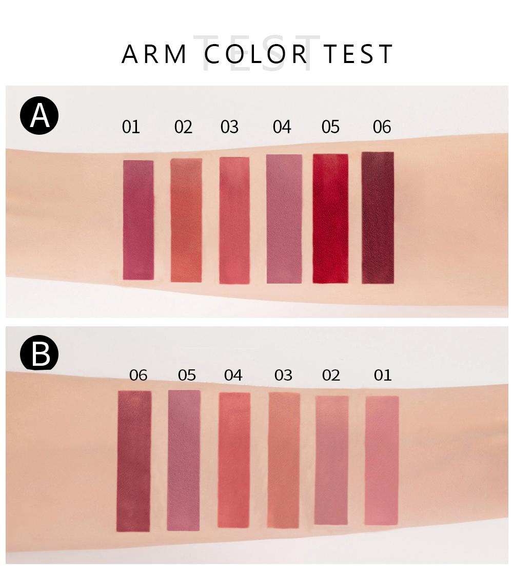 Handaiyan Lip Stain & Lipstick Kit