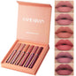 Handaiyan Lip Stain & Lipstick Kit